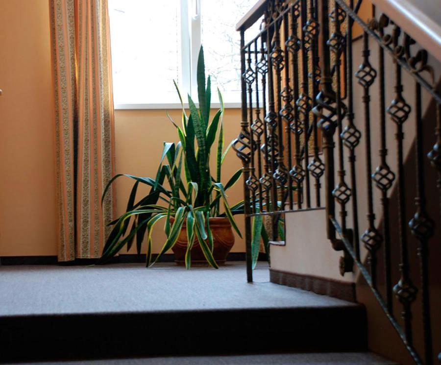 D'angelo Hotel 3*